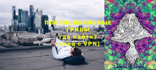 PSILOCYBIN Алексеевка