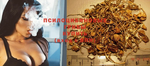 скорость Алзамай