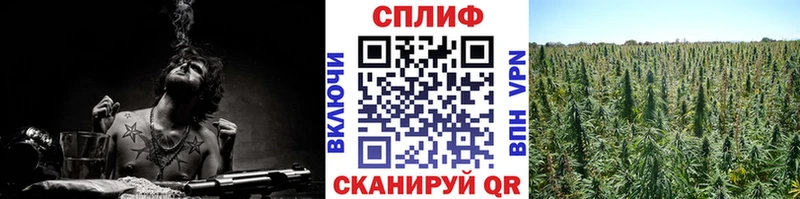 сколько стоит  Спас-Клепики  МАРИХУАНА план 